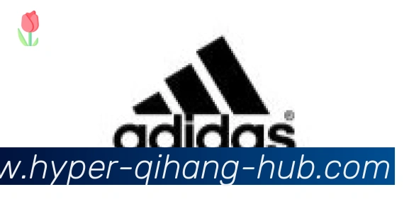 启航彩票平台合作伙伴
